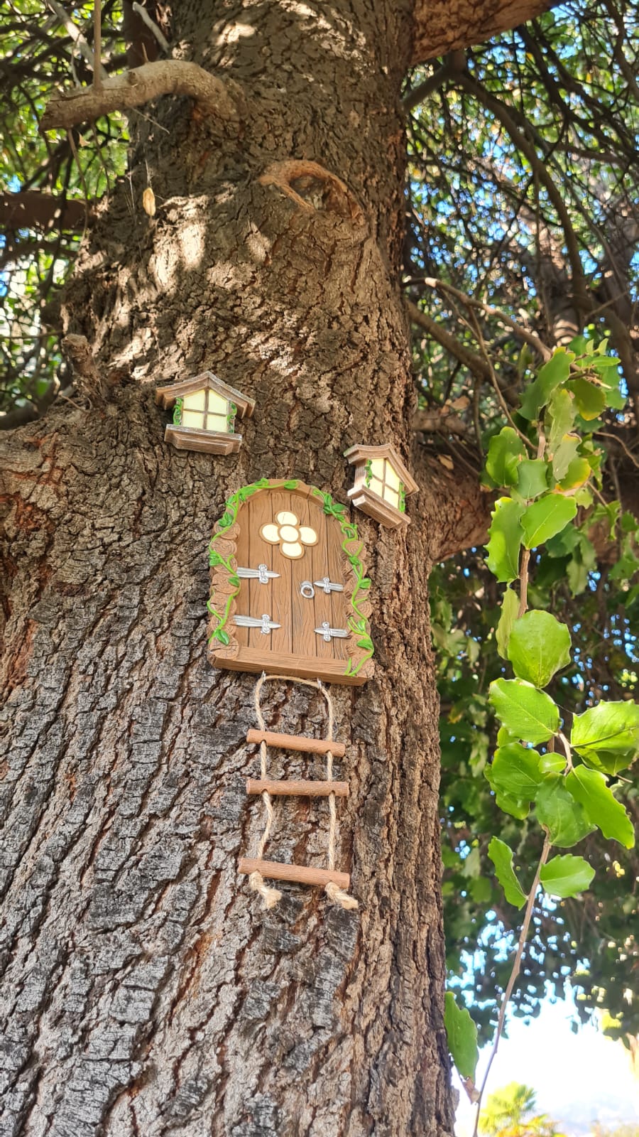 WhatsApp Image 2026 01 21 At 5.32.48 PM 1