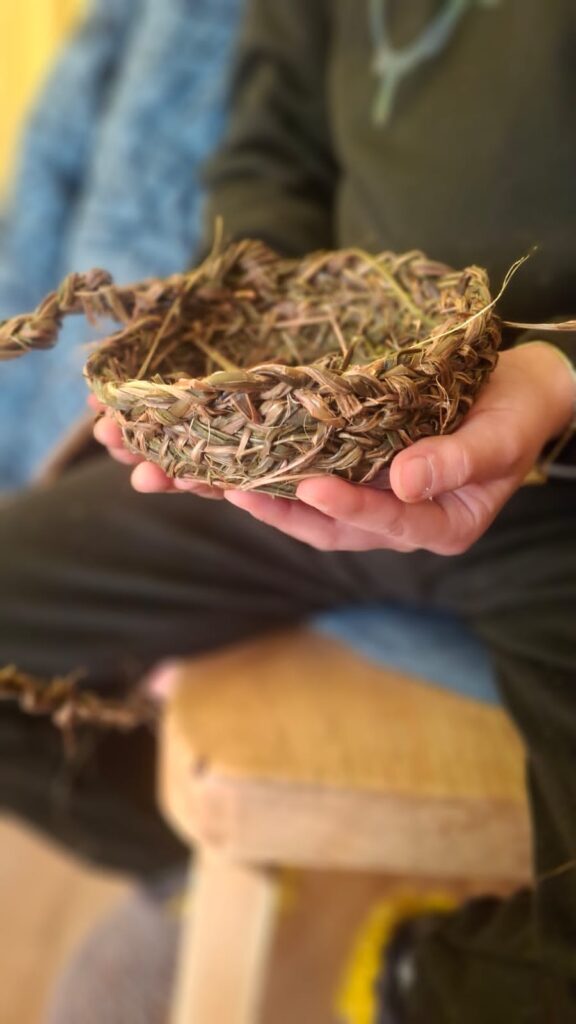 colegio waldorf rancagua machali