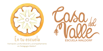 logos seminario 2 trans